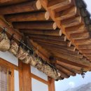 동백골한옥민박 이미지