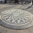 219 피자애비뉴(PIZZA AVENUE) | 혼자 뉴욕여행 Day4-2 : 위키드 예매 방법, 자리 꿀팁, 굿즈 종류/가격, 뉴욕피자 수프리마, 그랜드바자