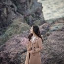 국산로(연초면) 이미지