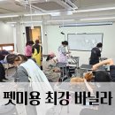영산로 284 네이버블로그