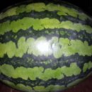 농민농약백화점 이미지