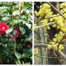 묵림한의원 이미지