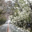 희원 이미지