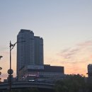 동근농장 | 5월은 사랑이야 🌹🌷