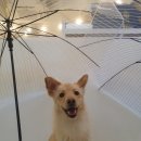 24년 7월 첫째주 주간일기