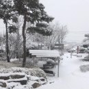 청양읍사무소 이미지