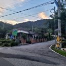 대산농업협동조합부항지점 네이버블로그