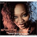 `Blues Lover` - Sharrie Williams 이미지