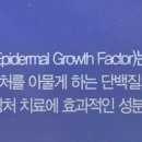 전남제일약국 네이버블로그