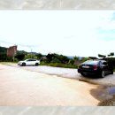 강아지 보호센터 이미지