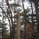 동막동(6) 이미지