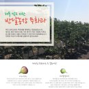 반달농장 이미지