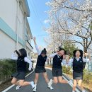 창녕옥야고등학교 이미지