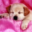 평생교육경영론 이미지