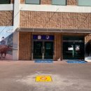 소싸움경기장 이미지