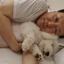 페츠온 동물병원 이미지