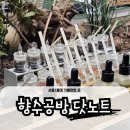 바닐라탑PC | [서울/홍대] 향수공방 닷노트 홍대점, 조향사 없이 만드는 프라이빗한 수제 향수 체험 솔직후기