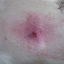 현대통통의원 이미지