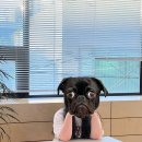 예지세탁소 이미지