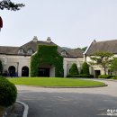 오월골프클럽 | 제이드팰리스GC,발렌타인 인터내셔널 한국결승 참여후기.