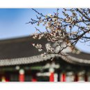 강릉대도호부관아 이미지