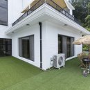 발리376