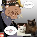 23년 9월
