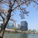 제일수퍼 | 잠실 롯데몰 놀거리 롯데시네마 월드타워 수퍼플렉스 21관 후기