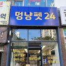 멍냥펫24 | 천안애견용품 청수동 무인펫샵 멍냥펫24 고양이용품 구매 후기