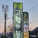 (주)다녀봄 | ​[청도 맛집] 《고향의봄》아삭함과 달큰한 맛이 남 다른 특별한 한재 미나리, 삼겹살 솔직 후기