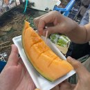 보당약국 | [일본-삿포로]25년10월, 추석연휴 시댁식구들과 4박5일 자유여행-2