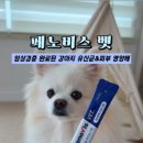 벳파이