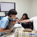 마린숲 동물병원 이미지