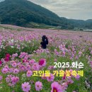 고인돌1 | 2025 화순 고인돌 가을꽃축제 가수 먹거리 축제 기본정보 후기