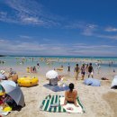 높은음자리 이미지