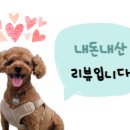 욜로커피로스터스 이미지