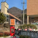 숲 | 용인 셀프 바베큐장 애견동반 묵리숲 후기