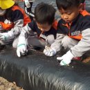 의곡초등학교 이미지