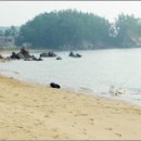 꾸지나무골해수욕장 이미지