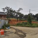 열녀 완산이씨 묘역 및 석물 이미지