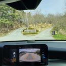 강아지정원 이미지