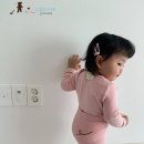 꿀꾸리