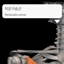즐거운피티샵(개봉점) 이미지