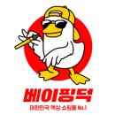 베이플렉스 이미지