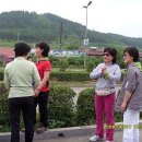 서파주유소 Daum카페