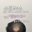 오하이스칼프