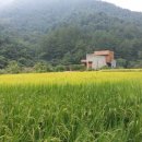 백낙제 플랫하우스 이미지