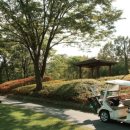 플라자C.C 이미지