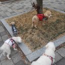 365동판교동물병원 이미지