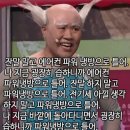패밀리앤퍼피 | 중대형견동반) 소노펫 2박 후기